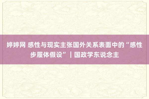 婷婷网 感性与现实主张国外关系表面中的“感性步履体假设”｜国政学东说念主