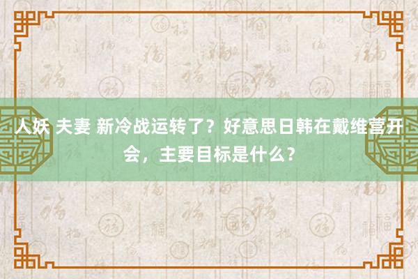 人妖 夫妻 新冷战运转了？好意思日韩在戴维营开会，主要目标是什么？