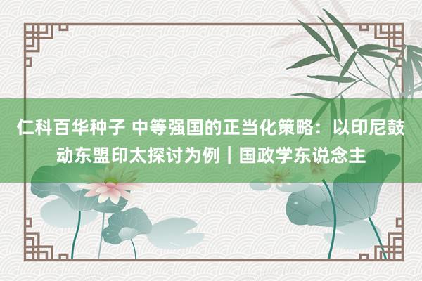 仁科百华种子 中等强国的正当化策略：以印尼鼓动东盟印太探讨为例｜国政学东说念主