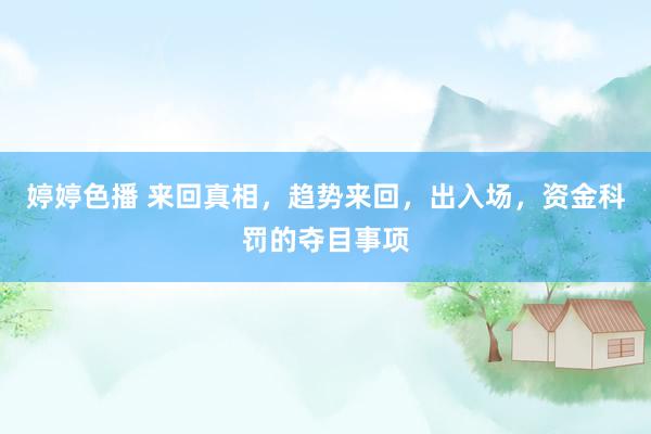 婷婷色播 来回真相，趋势来回，出入场，资金科罚的夺目事项
