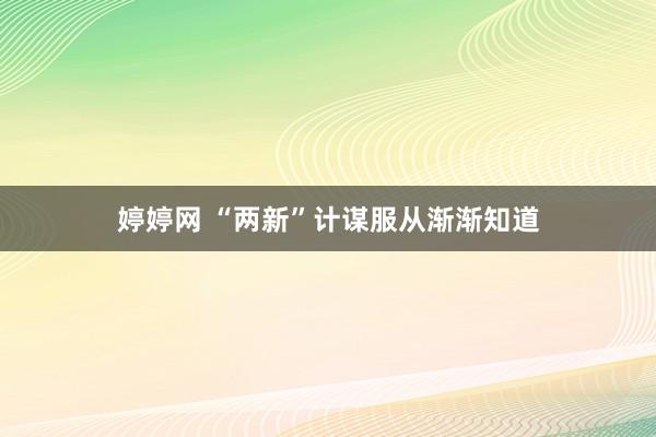 婷婷网 “两新”计谋服从渐渐知道