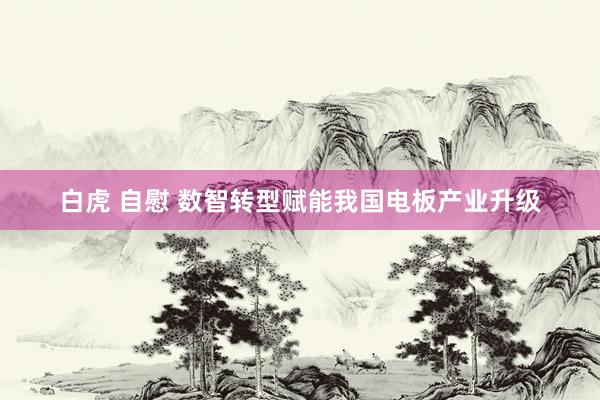 白虎 自慰 数智转型赋能我国电板产业升级