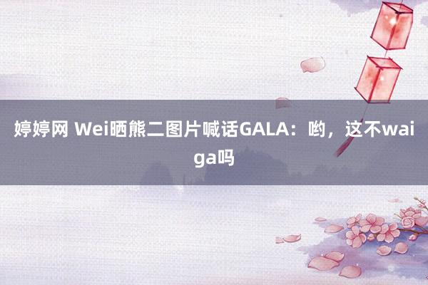 婷婷网 Wei晒熊二图片喊话GALA：哟，这不waiga吗