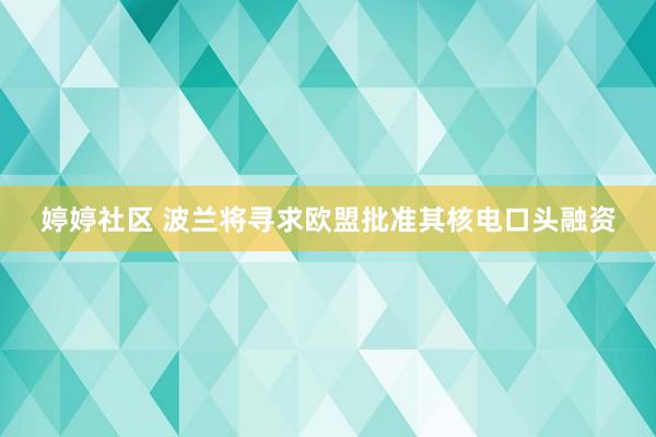 婷婷社区 波兰将寻求欧盟批准其核电口头融资