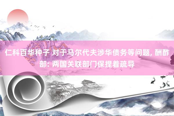 仁科百华种子 对于马尔代夫涉华债务等问题, 酬酢部: 两国关联部门保捏着疏导