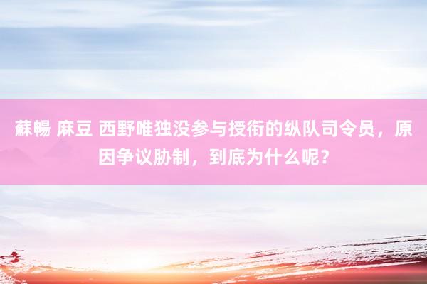 蘇暢 麻豆 西野唯独没参与授衔的纵队司令员，原因争议胁制，到底为什么呢？