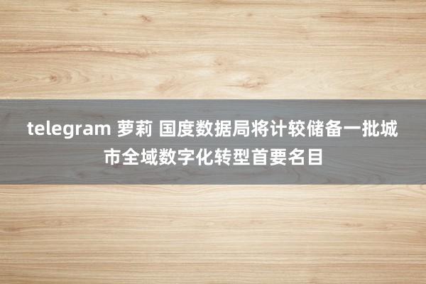 telegram 萝莉 国度数据局将计较储备一批城市全域数字化转型首要名目
