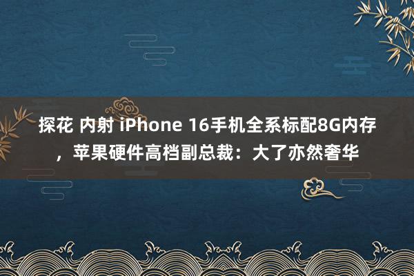 探花 内射 iPhone 16手机全系标配8G内存，苹果硬件高档副总裁：大了亦然奢华