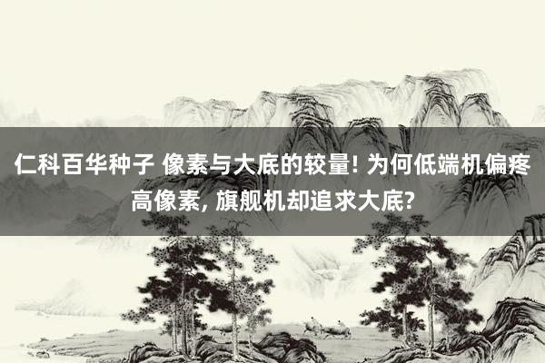 仁科百华种子 像素与大底的较量! 为何低端机偏疼高像素, 旗舰机却追求大底?