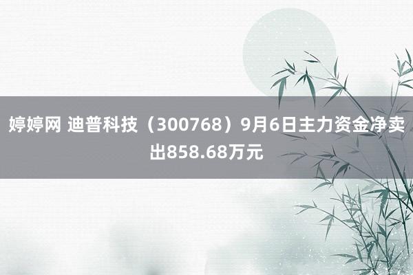 婷婷网 迪普科技（300768）9月6日主力资金净卖出858.68万元