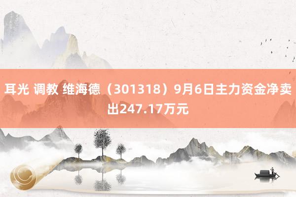 耳光 调教 维海德（301318）9月6日主力资金净卖出247.17万元