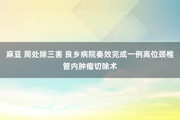 麻豆 周处除三害 良乡病院奏效完成一例高位颈椎管内肿瘤切除术