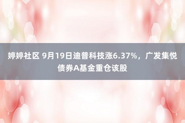 婷婷社区 9月19日迪普科技涨6.37%，广发集悦债券A基金重仓该股