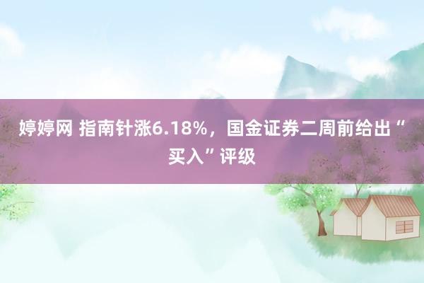 婷婷网 指南针涨6.18%，国金证券二周前给出“买入”评级