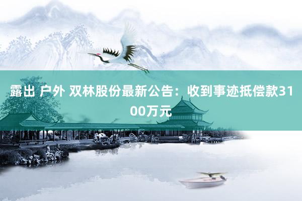 露出 户外 双林股份最新公告：收到事迹抵偿款3100万元