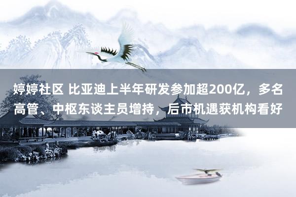 婷婷社区 比亚迪上半年研发参加超200亿，多名高管、中枢东谈主员增持，后市机遇获机构看好