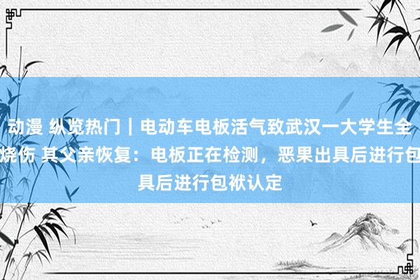 动漫 纵览热门｜电动车电板活气致武汉一大学生全身90%烧伤 其父亲恢复：电板正在检测，恶果出具后进行包袱认定