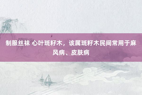 制服丝袜 心叶斑籽木，该属斑籽木民间常用于麻风病、皮肤病