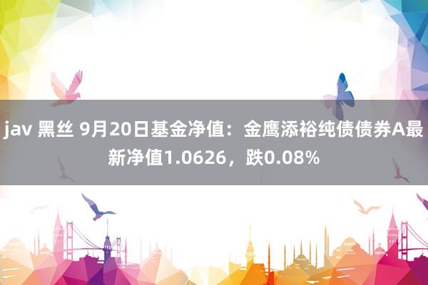jav 黑丝 9月20日基金净值：金鹰添裕纯债债券A最新净值1.0626，跌0.08%