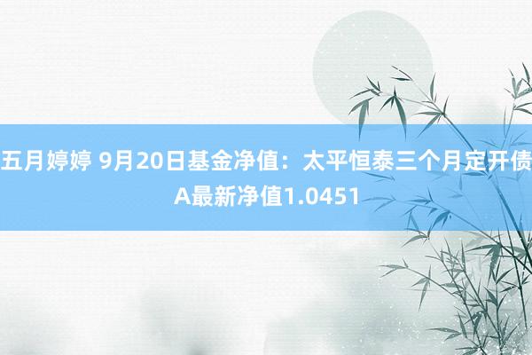 五月婷婷 9月20日基金净值：太平恒泰三个月定开债A最新净值1.0451