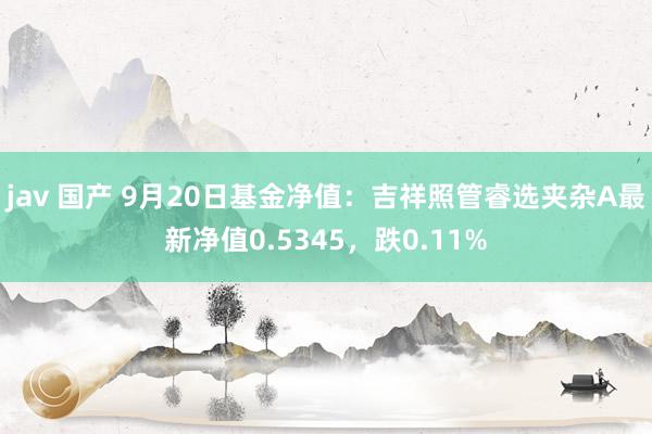 jav 国产 9月20日基金净值：吉祥照管睿选夹杂A最新净值0.5345，跌0.11%