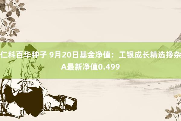 仁科百华种子 9月20日基金净值：工银成长精选搀杂A最新净值0.499