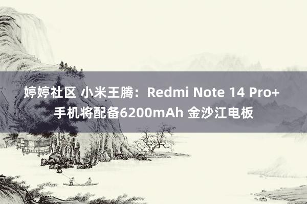 婷婷社区 小米王腾：Redmi Note 14 Pro+ 手机将配备6200mAh 金沙江电板