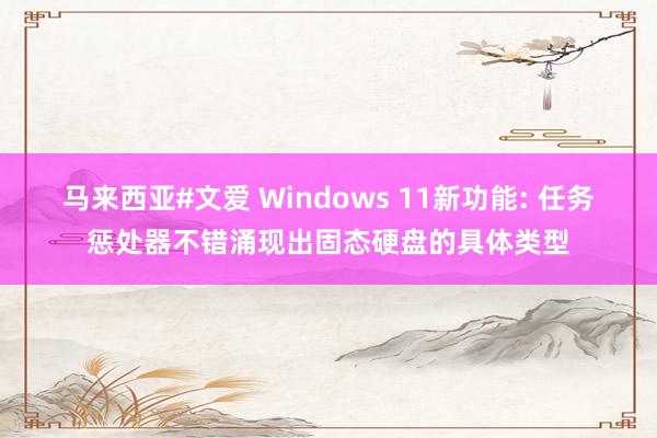 马来西亚#文爱 Windows 11新功能: 任务惩处器不错涌现出固态硬盘的具体类型