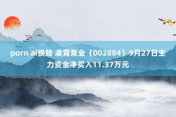 porn ai换脸 凌霄泵业（002884）9月27日主力资金净买入11.37万元