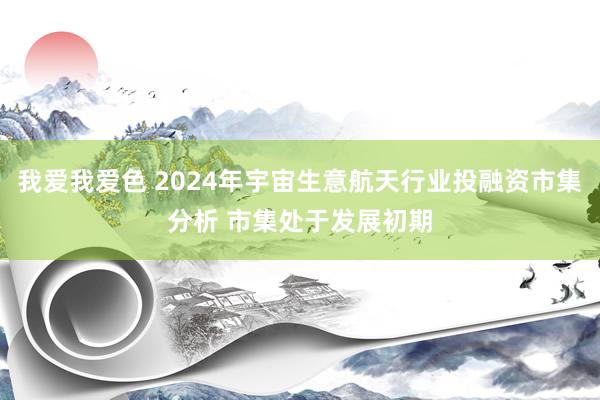 我爱我爱色 2024年宇宙生意航天行业投融资市集分析 市集处于发展初期