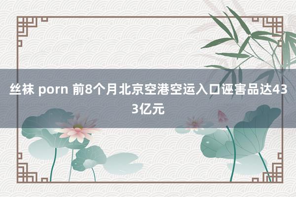 丝袜 porn 前8个月北京空港空运入口诬害品达433亿元
