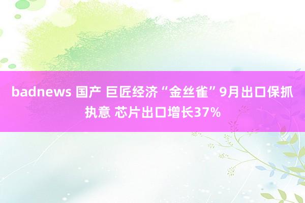 badnews 国产 巨匠经济“金丝雀”9月出口保抓执意 芯片出口增长37%