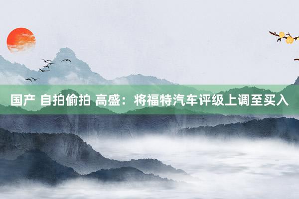 国产 自拍偷拍 高盛：将福特汽车评级上调至买入