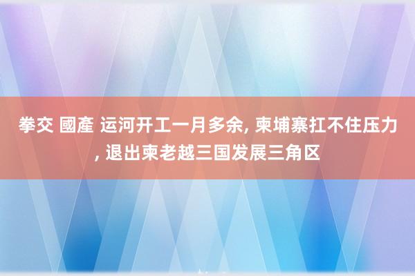 拳交 國產 运河开工一月多余， 柬埔寨扛不住压力， 退出柬老越三国发展三角区