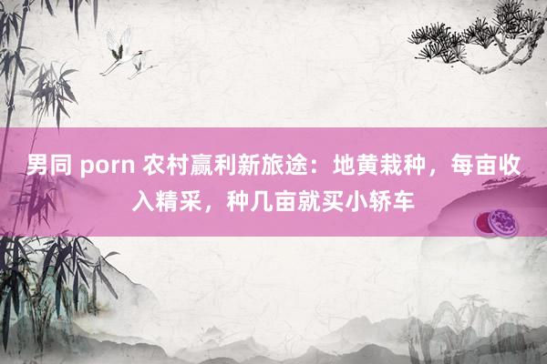 男同 porn 农村赢利新旅途：地黄栽种，每亩收入精采，种几亩就买小轿车
