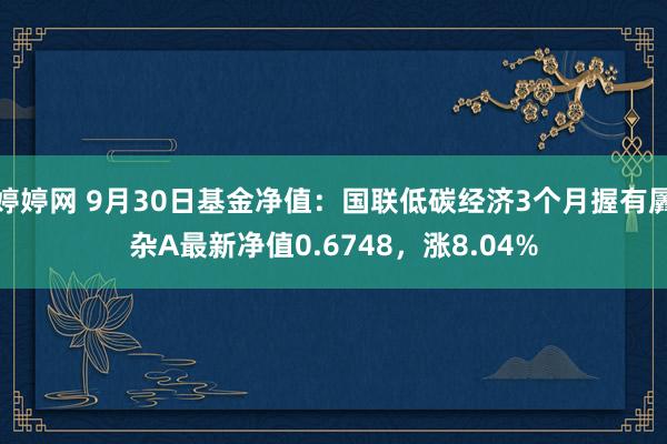 婷婷网 9月30日基金净值：国联低碳经济3个月握有羼杂A最新净值0.6748，涨8.04%