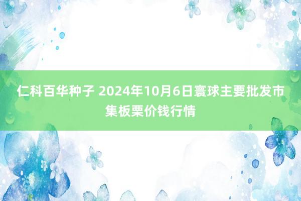 仁科百华种子 2024年10月6日寰球主要批发市集板栗价钱行情