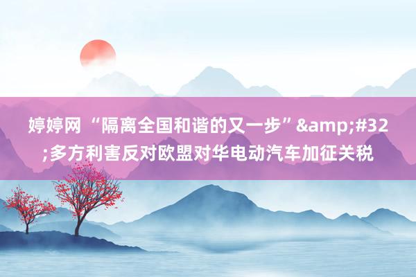 婷婷网 “隔离全国和谐的又一步”&#32;多方利害反对欧盟对华电动汽车加征关税