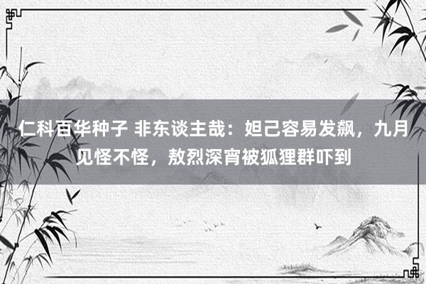 仁科百华种子 非东谈主哉：妲己容易发飙，九月见怪不怪，敖烈深宵被狐狸群吓到