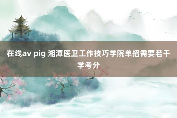 在线av pig 湘潭医卫工作技巧学院单招需要若干学考分