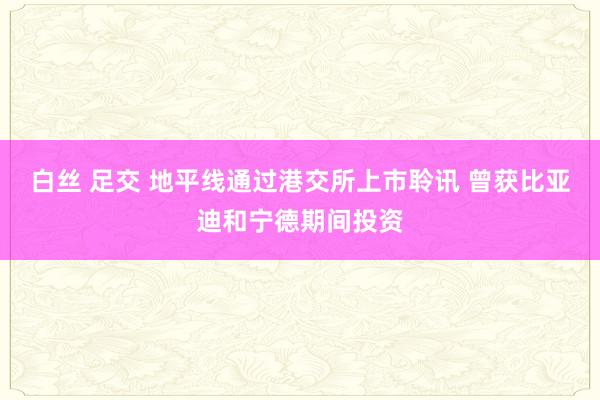白丝 足交 地平线通过港交所上市聆讯 曾获比亚迪和宁德期间投资