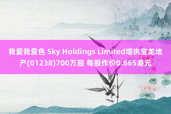 我爱我爱色 Sky Holdings Limited增执宝龙地产(01238)700万股 每股作价0.665港元