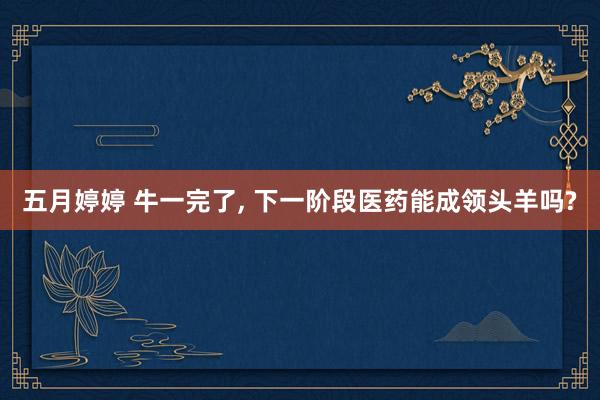 五月婷婷 牛一完了， 下一阶段医药能成领头羊吗?