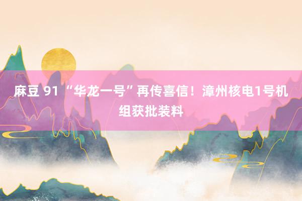 麻豆 91 “华龙一号”再传喜信！漳州核电1号机组获批装料