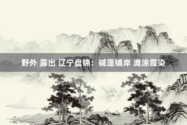 野外 露出 辽宁盘锦：碱蓬铺岸 滩涂霞染