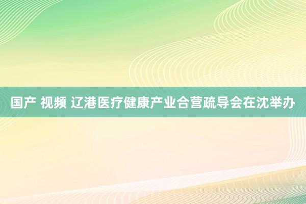 国产 视频 辽港医疗健康产业合营疏导会在沈举办