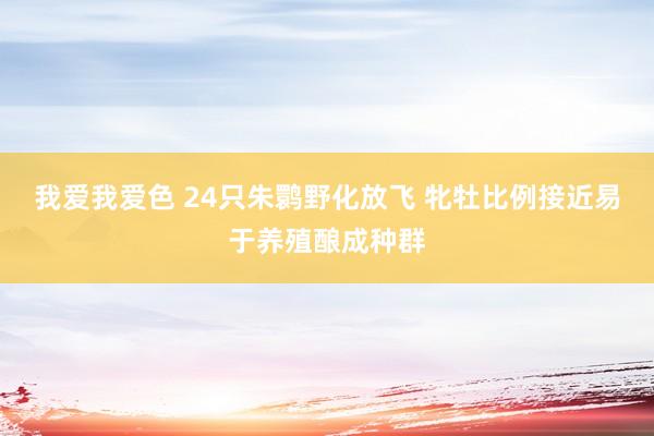 我爱我爱色 24只朱鹮野化放飞 牝牡比例接近易于养殖酿成种群