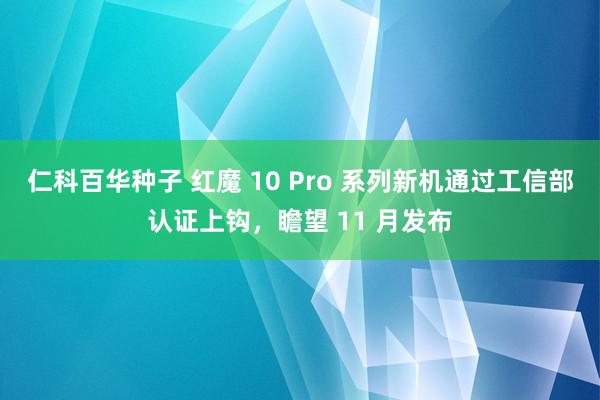 仁科百华种子 红魔 10 Pro 系列新机通过工信部认证上钩，瞻望 11 月发布