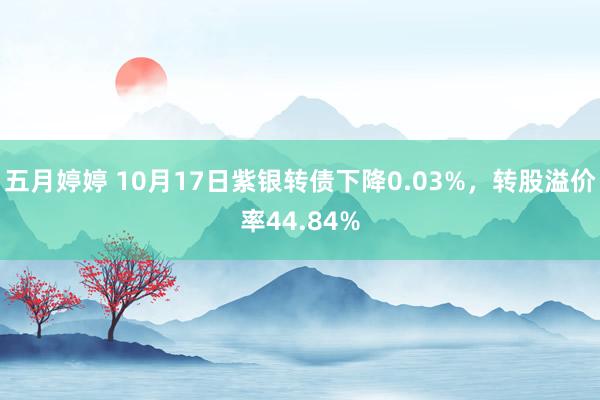 五月婷婷 10月17日紫银转债下降0.03%，转股溢价率44.84%