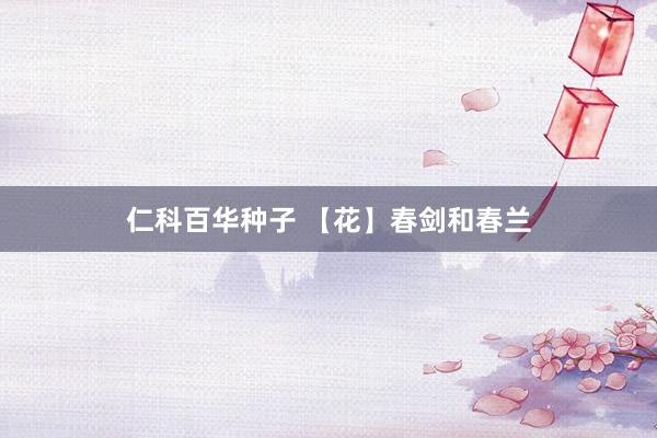 仁科百华种子 【花】春剑和春兰